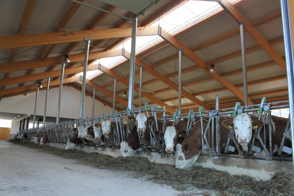 Ganhoer- Fam. Kaar Wintersdorf Экстерьер фото